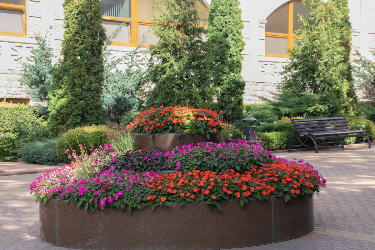 Кисловодск - navalon M