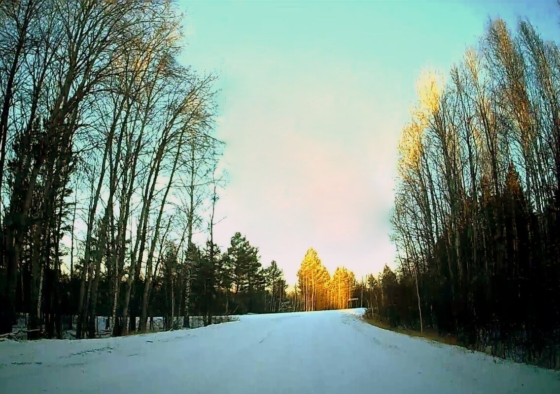 Встречаю декабрьский рассвет на лесной дороге. Фантастика! - Юрий Налобин