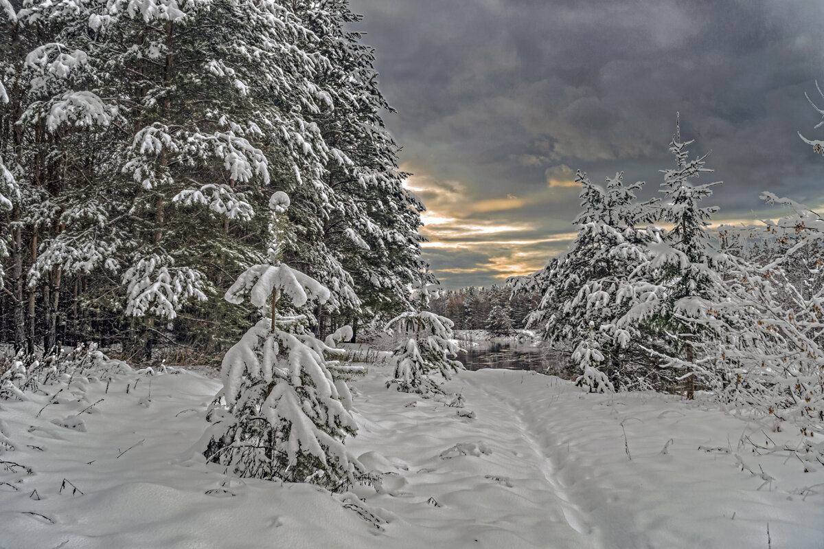 Зима - Александр Иванович Шитов