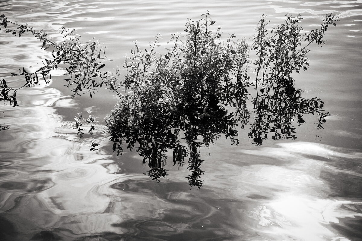 Фотография - Денис Безногов