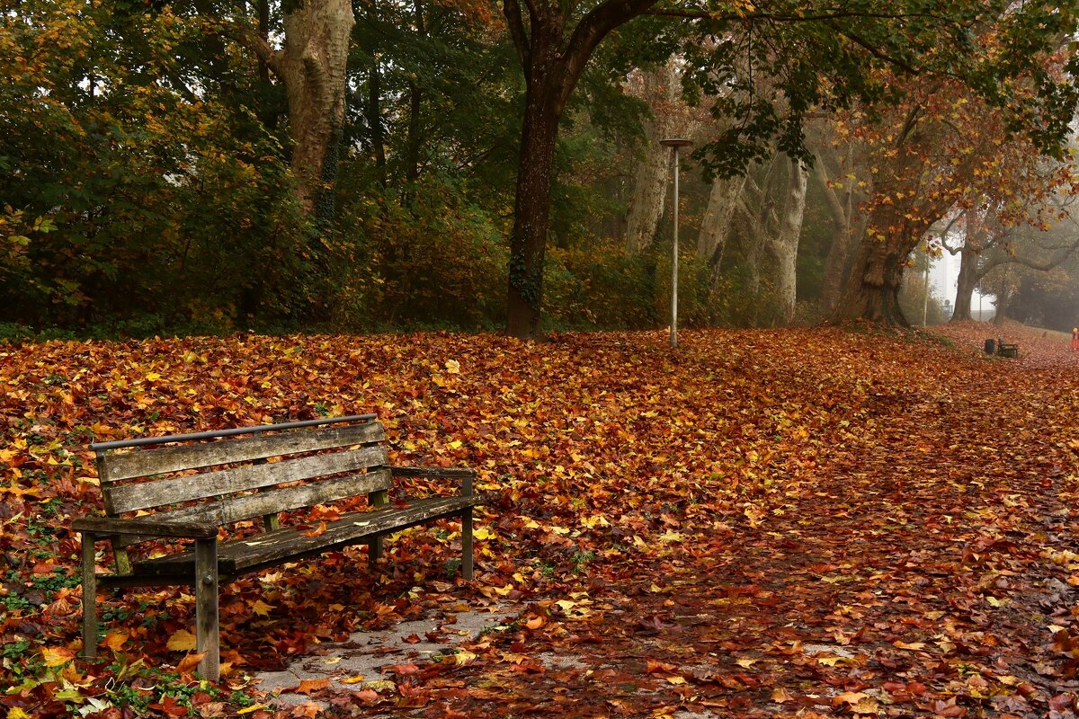 Старые скамейка загрустила в парке. - Юрий. Шмаков