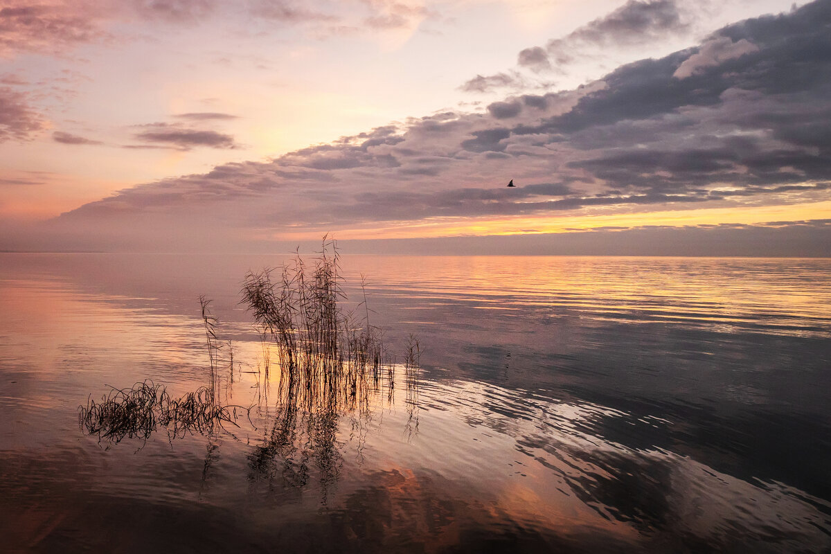 Предрассветье - Ирина 