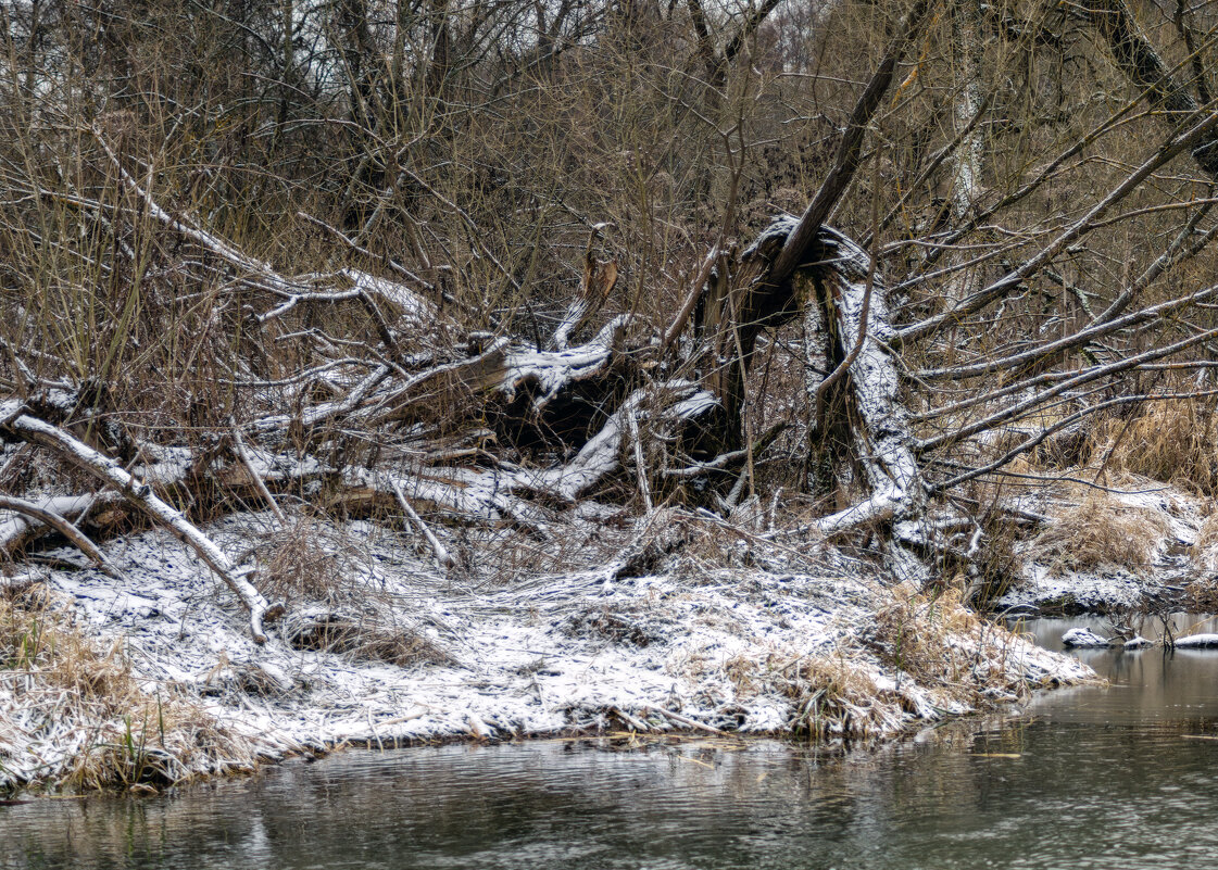 Бурелом - sorovey Sol