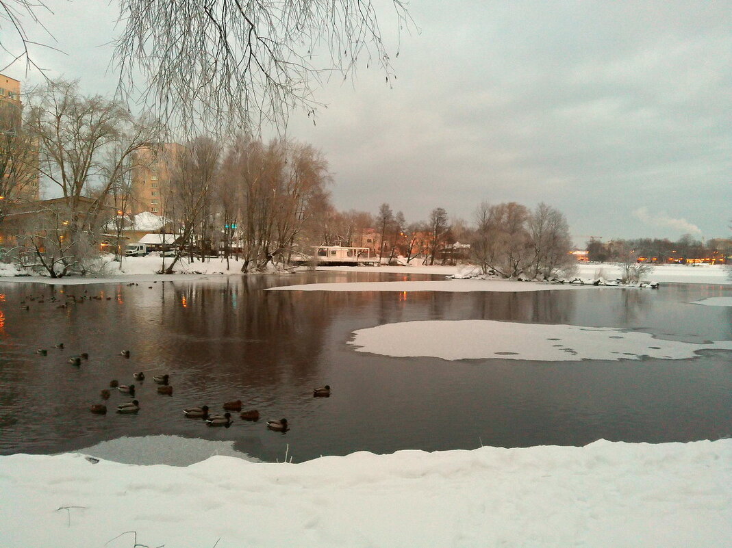 Сестрорецк - Елена Суханова Сестрорецк - Елена Суханова