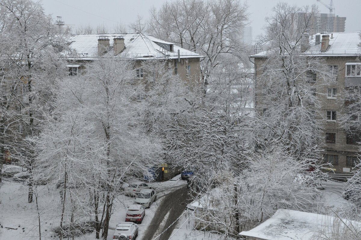 Зима всё-таки - Татьяна Машошина Зима всё-таки - Татьяна Машошина