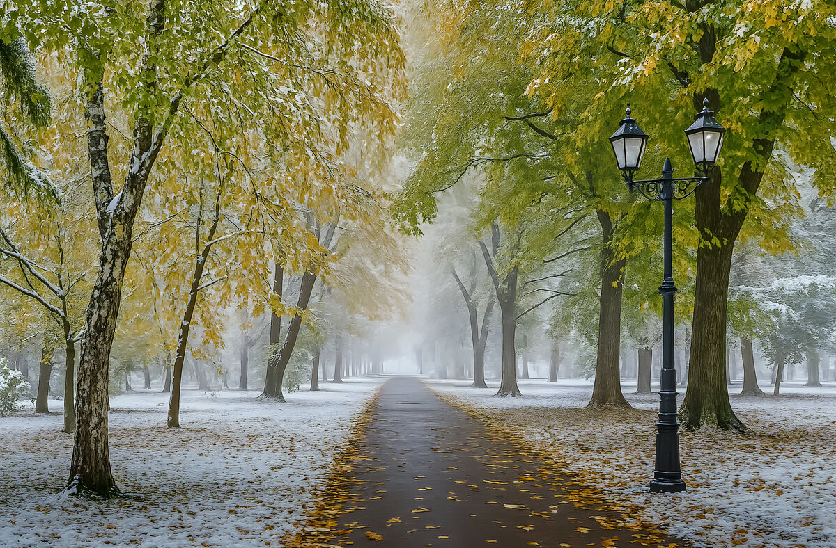 Первый снег - Aleksey Afonin