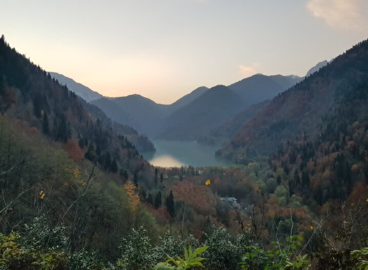 Абхазия ноябрь 2025 - Tata Wolf