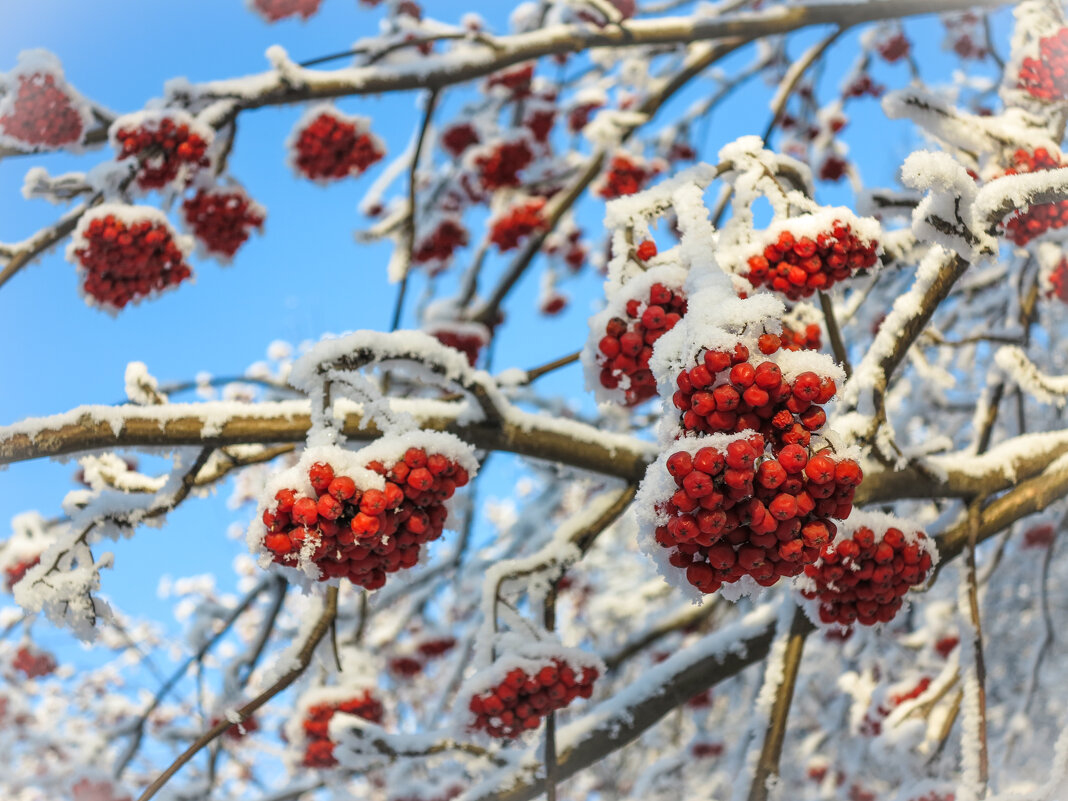 * * * - Уже не важно * * * - Уже не важно