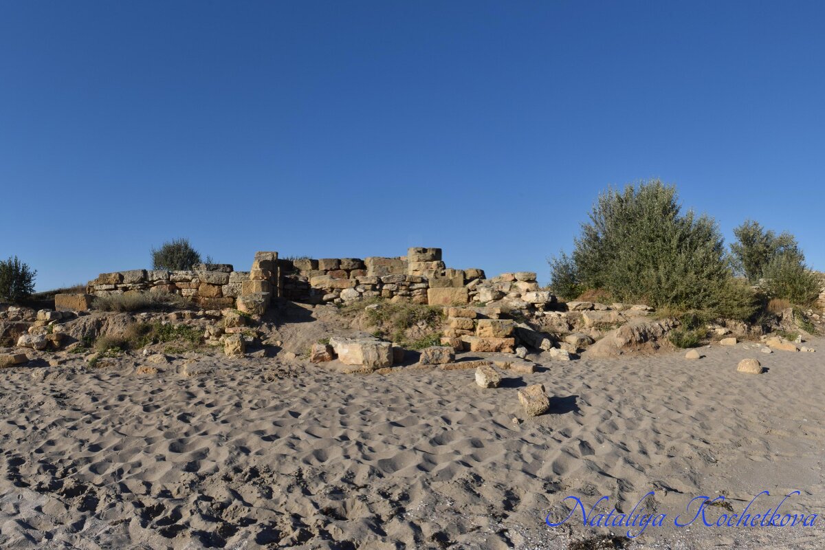 Природа Крыма - Amazing Cosmea