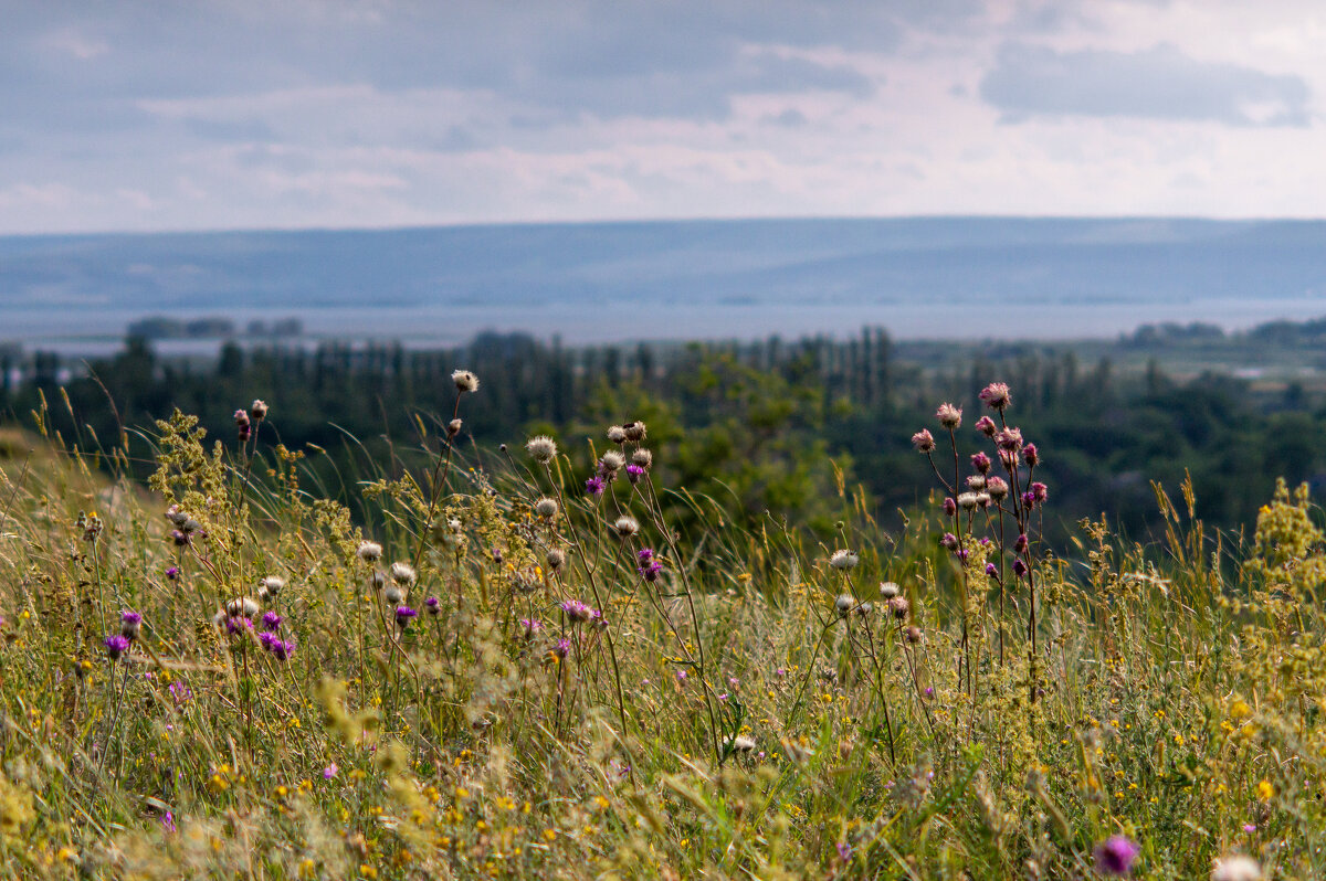 Родные просторы - Сергей В Родные просторы - Сергей В