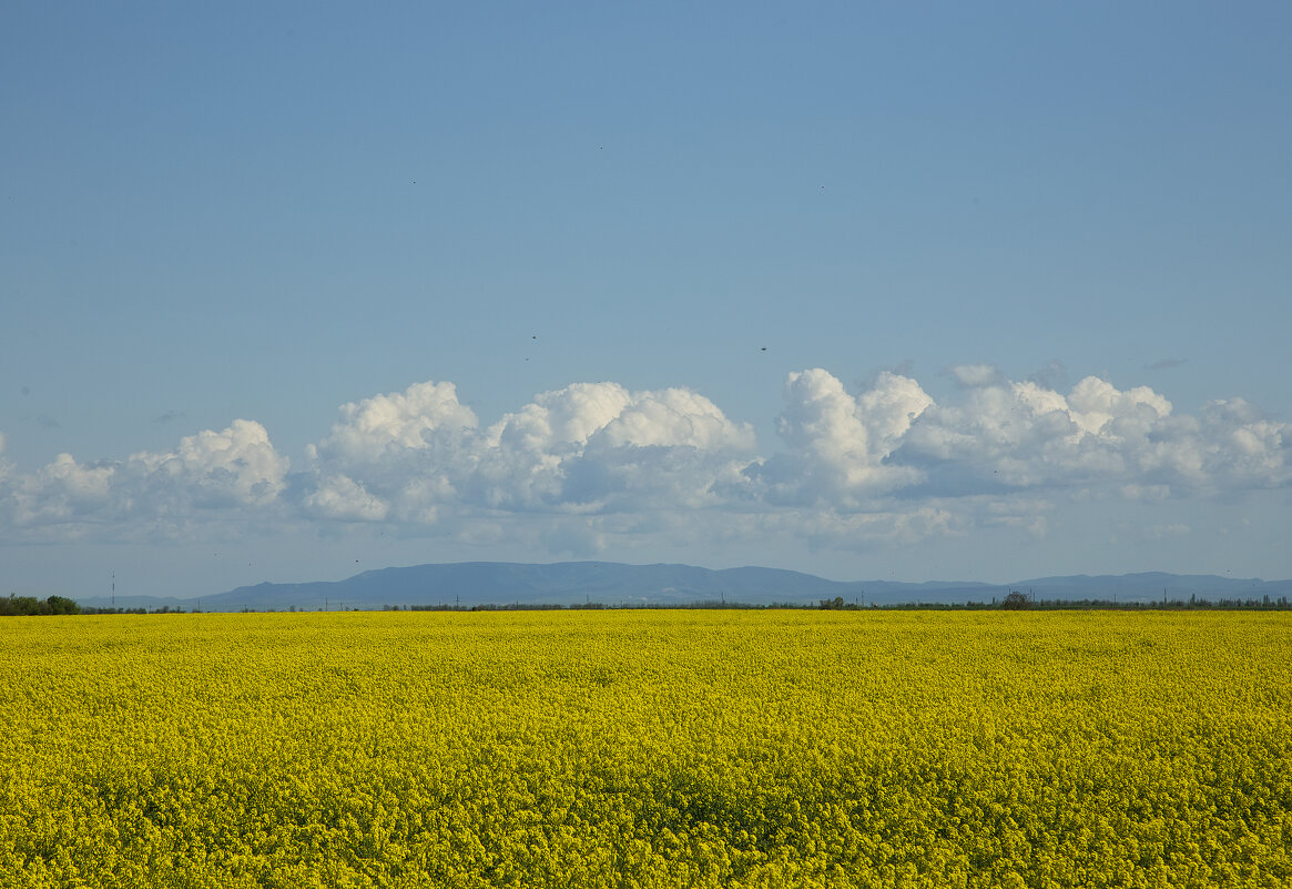 Новая жизнь - Яна Горбунова