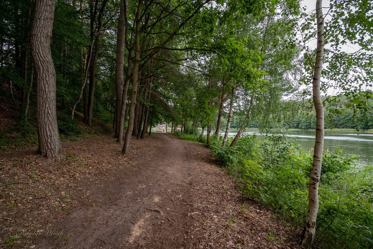 Вдоль по берегу... - Николай Гирш