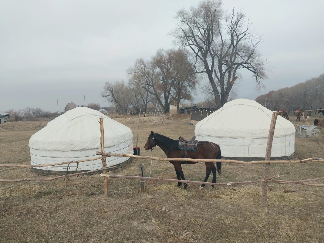 Talgar. - Murat Bukaev 