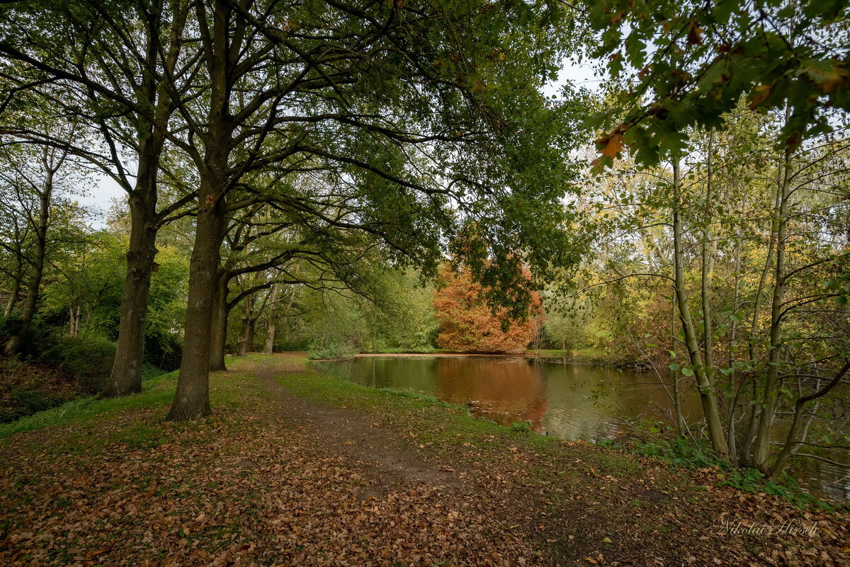 *** - Николай Гирш