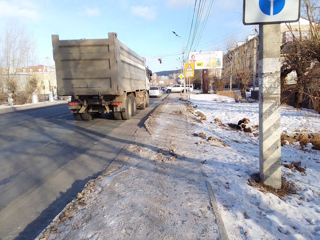 Гололед - Екатерина Панова