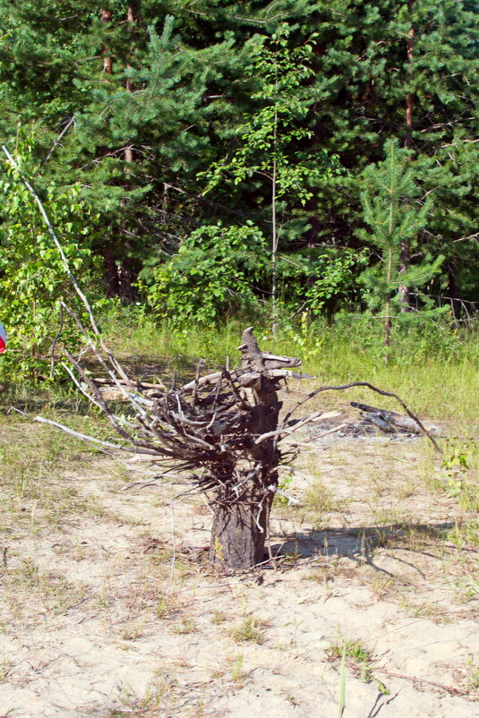 Прощай,пляжик. - ВикТор Быстров