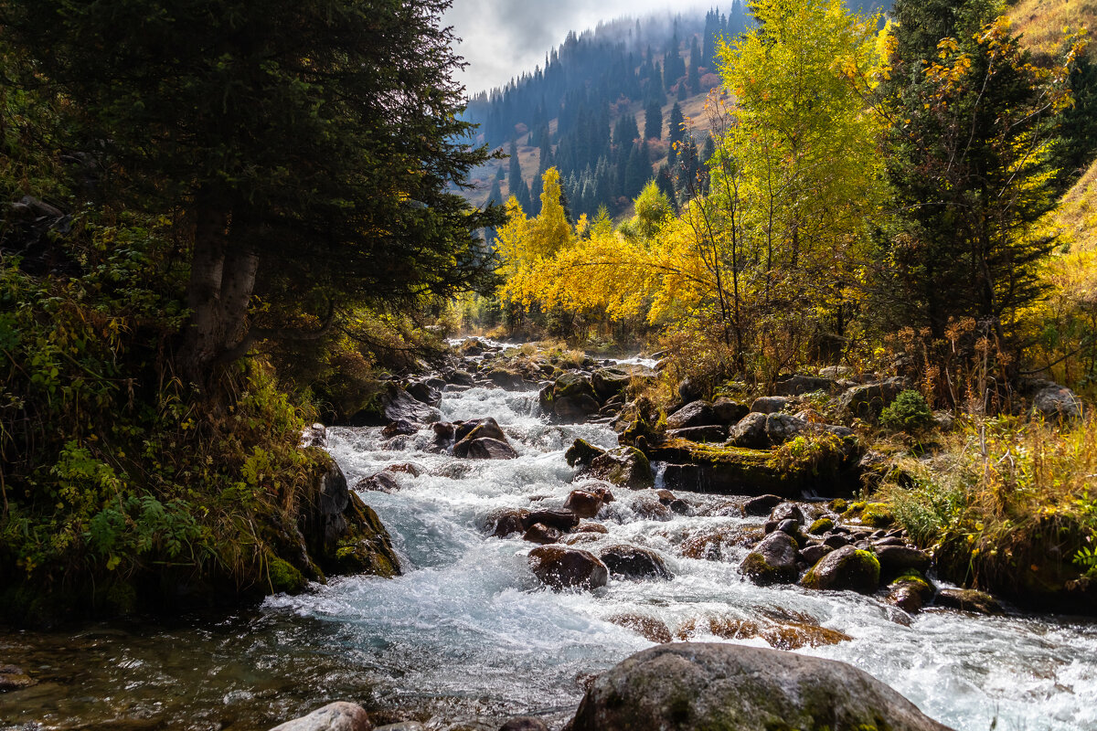 Казахстан - Андрей Щукин Казахстан - Андрей Щукин