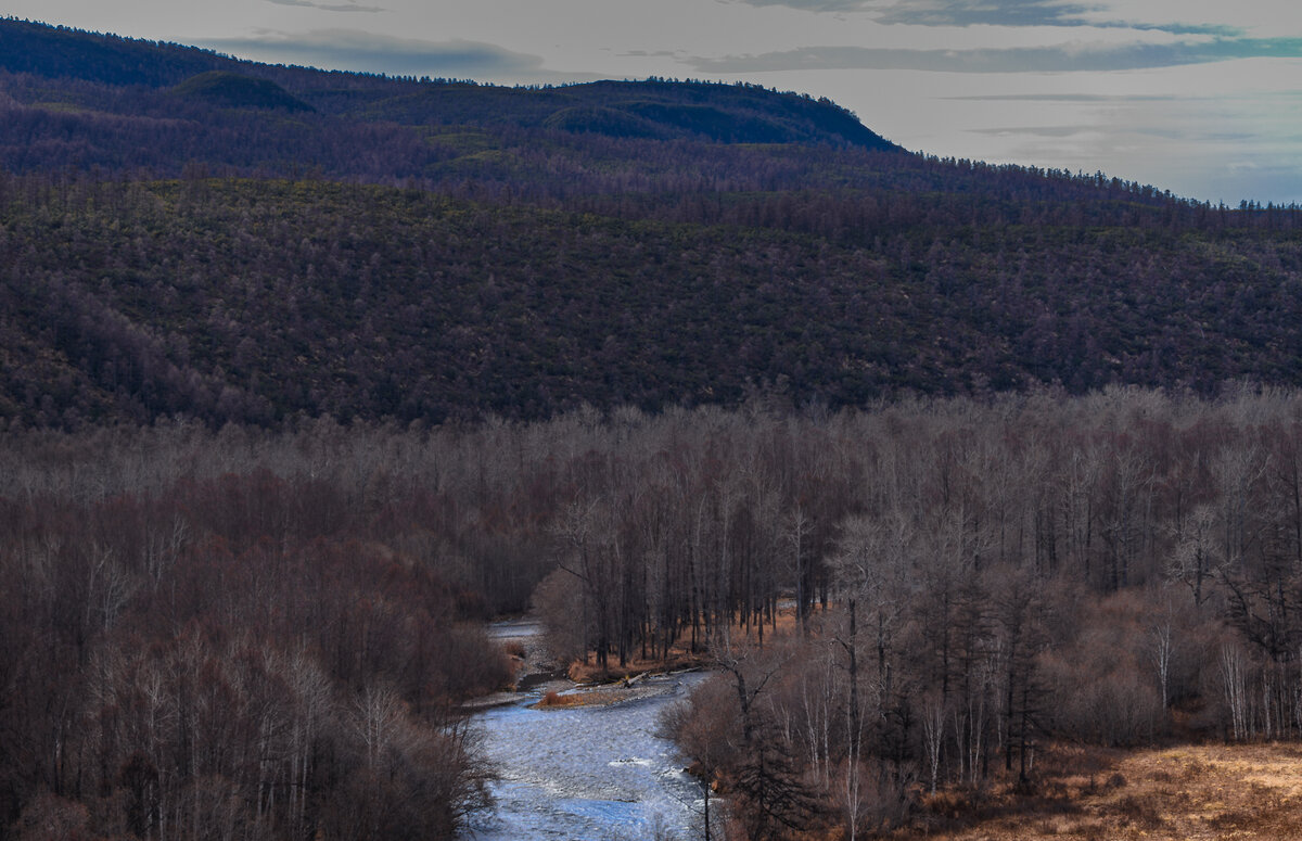 ... - Жора Житников