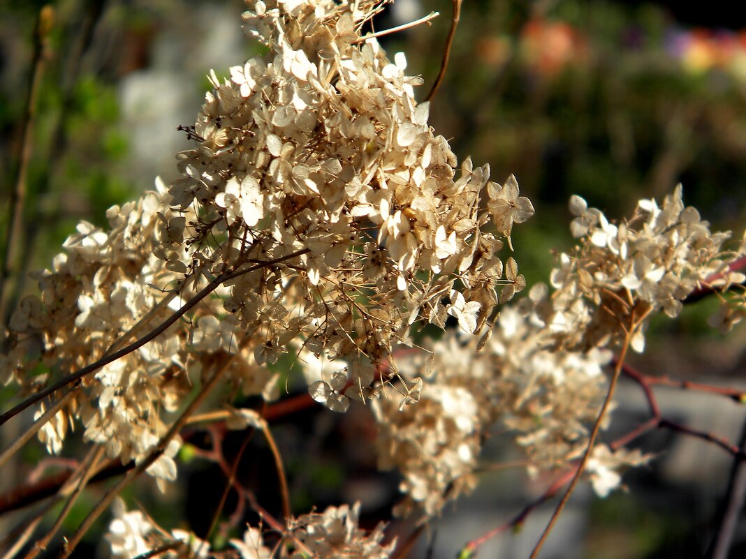 Детали природы - Роман Савоцкий