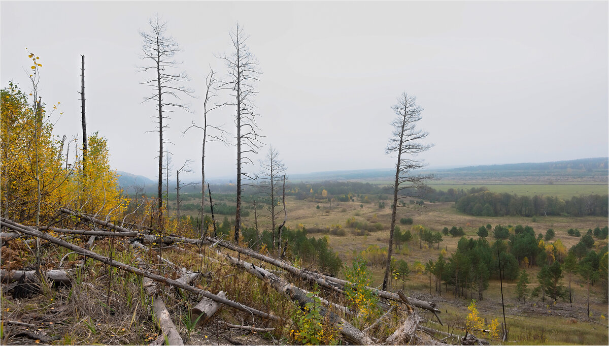 Осень - **** vedin