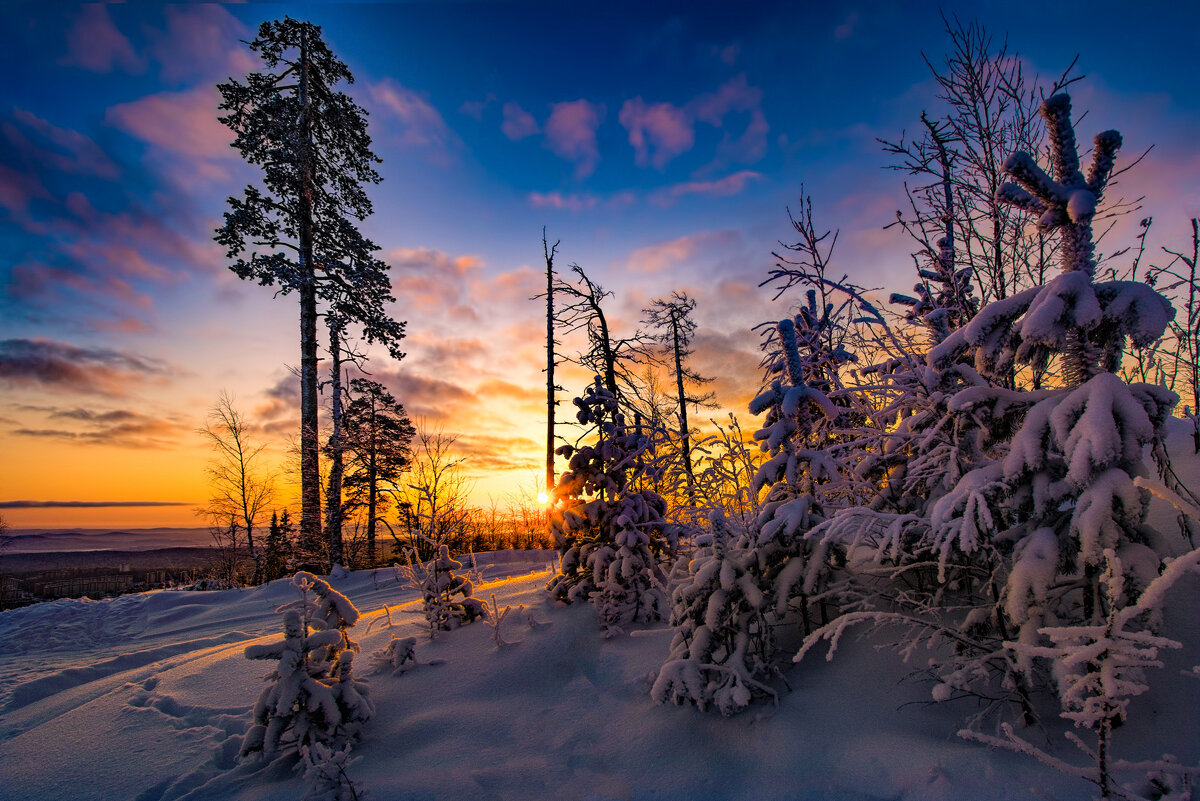 Зимнее утро - Vladimbormotov 