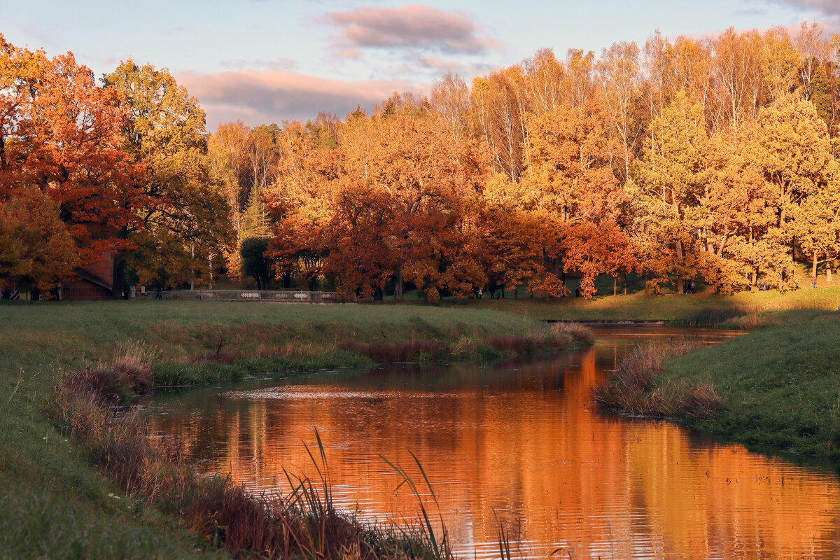 Павловский парк - skijumper Иванов Павловский парк - skijumper Иванов