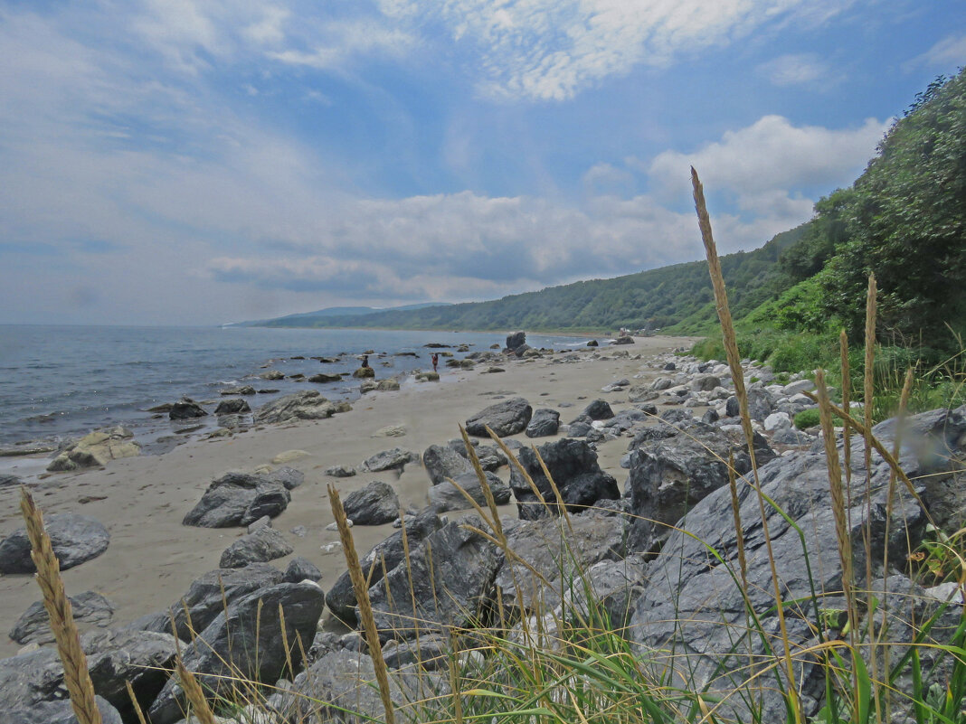 Дикий берег Охотского моря - ИРЭН@ . Дикий берег Охотского моря - ИРЭН@ .