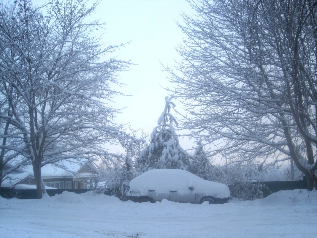 Зима - Елена Семигина Зима - Елена Семигина