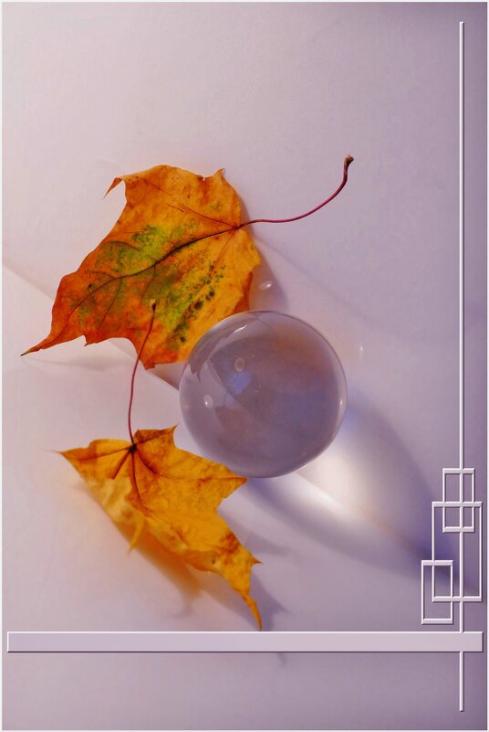 ЭТЮД... - Elvira E. 