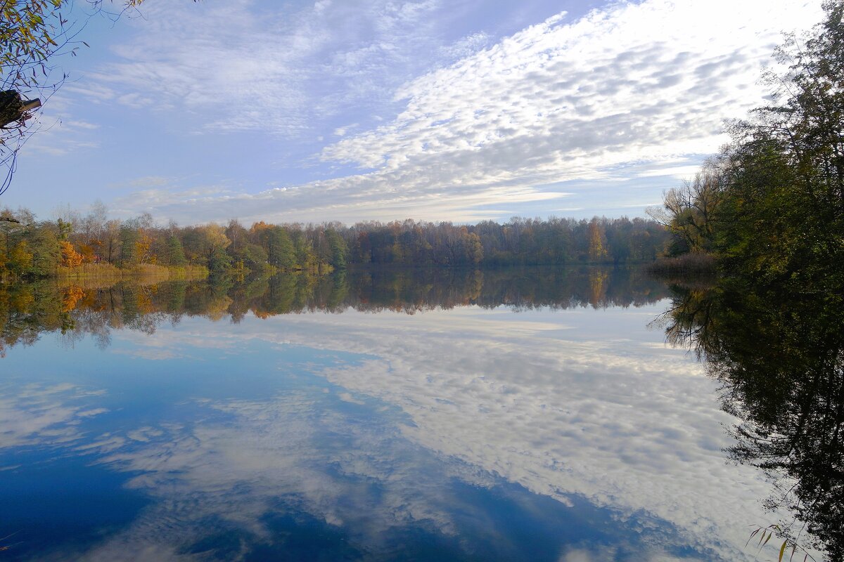 Ноябрьский пейзаж - Рита Симонова Ноябрьский пейзаж - Рита Симонова