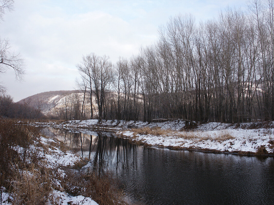 Первый снег - MILAV V