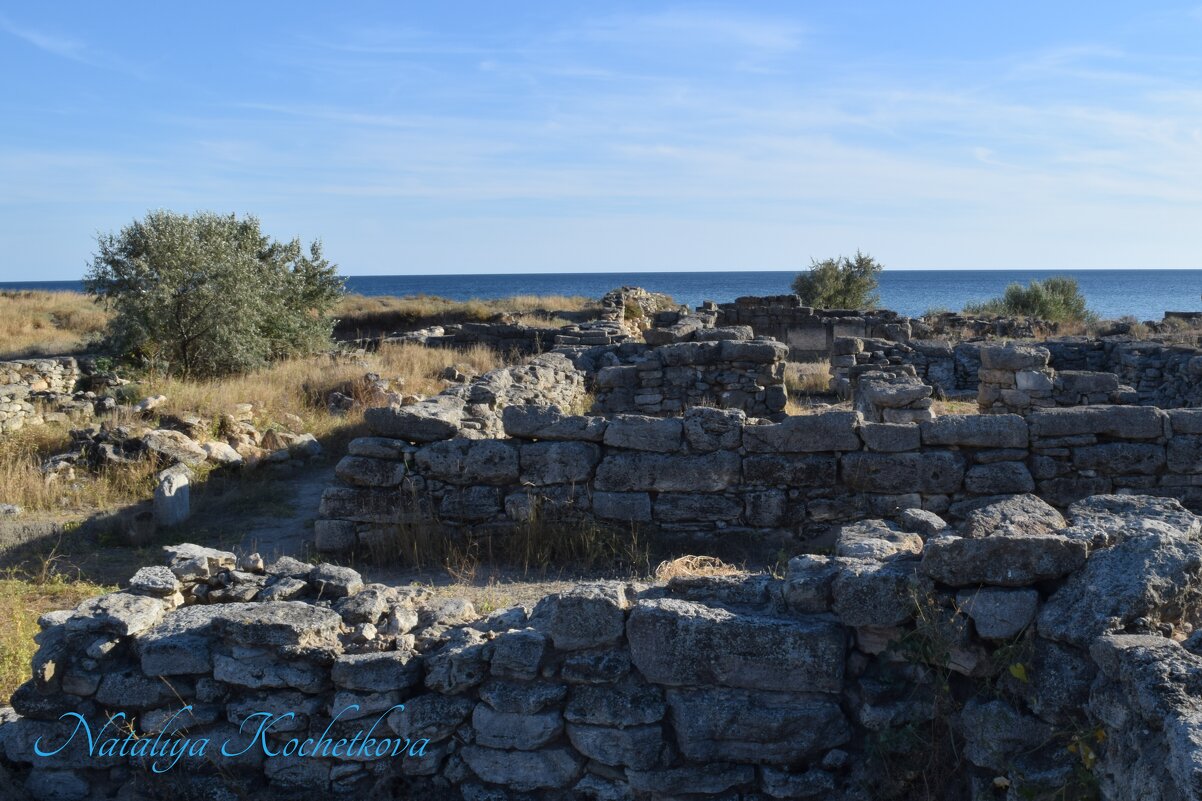Природа Крыма - Amazing Cosmea