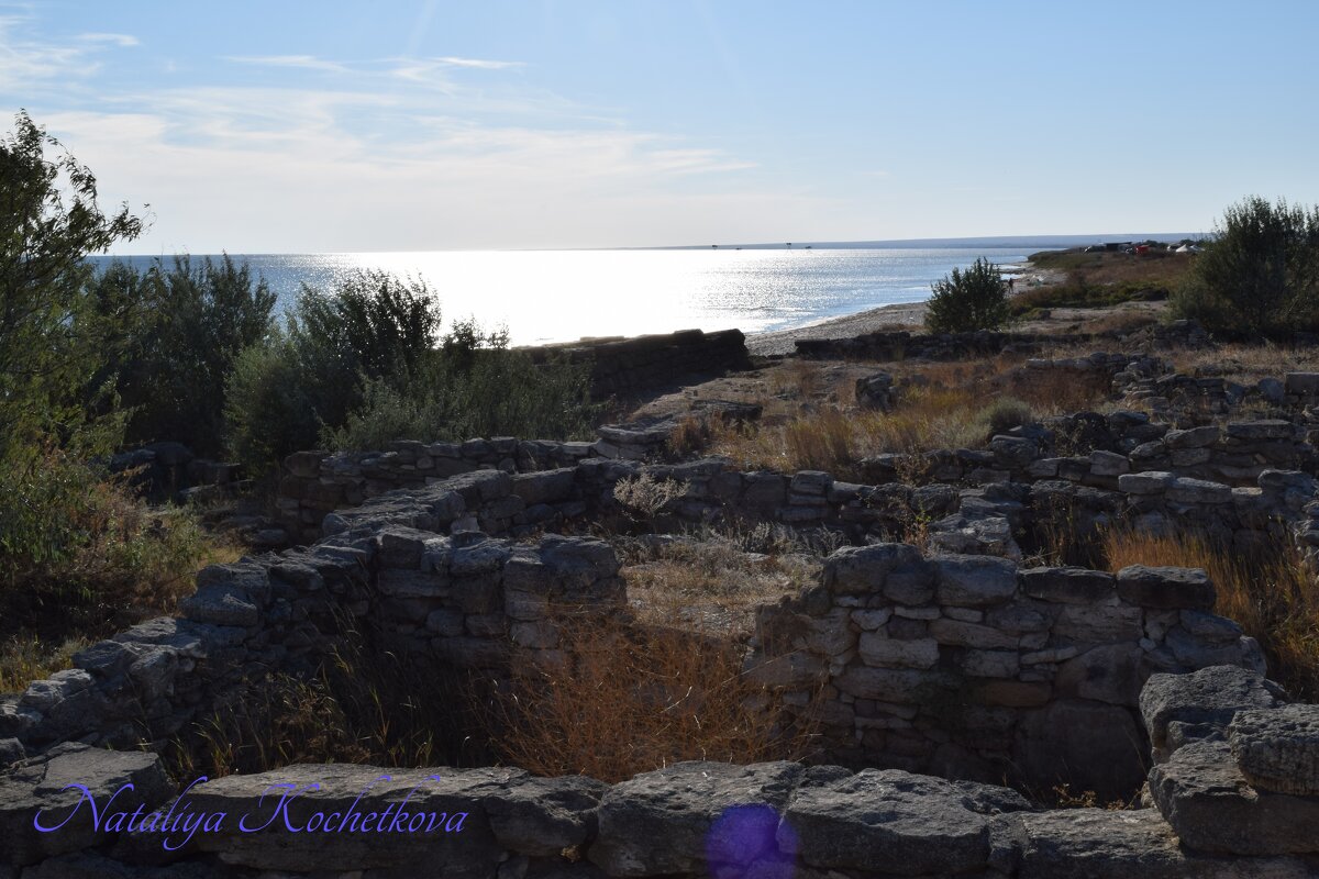 Природа Крыма - Amazing Cosmea