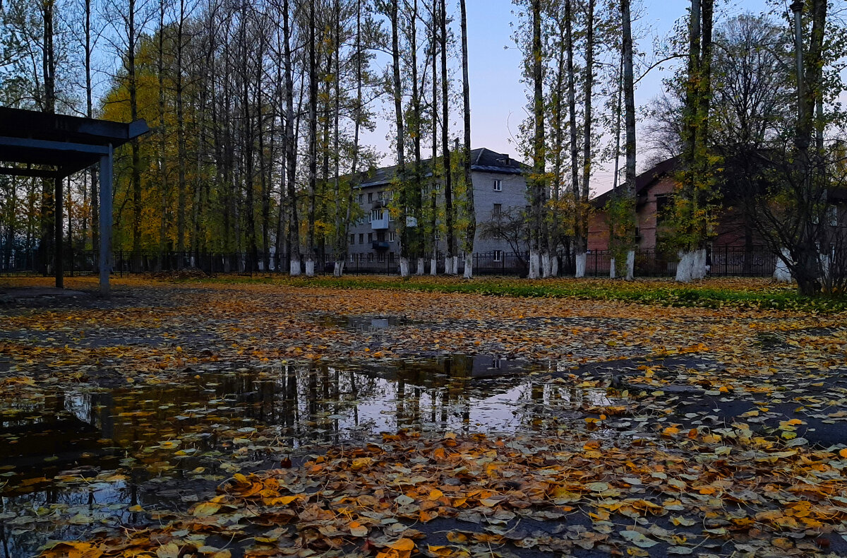 Золотая осень - Олег Загорулько