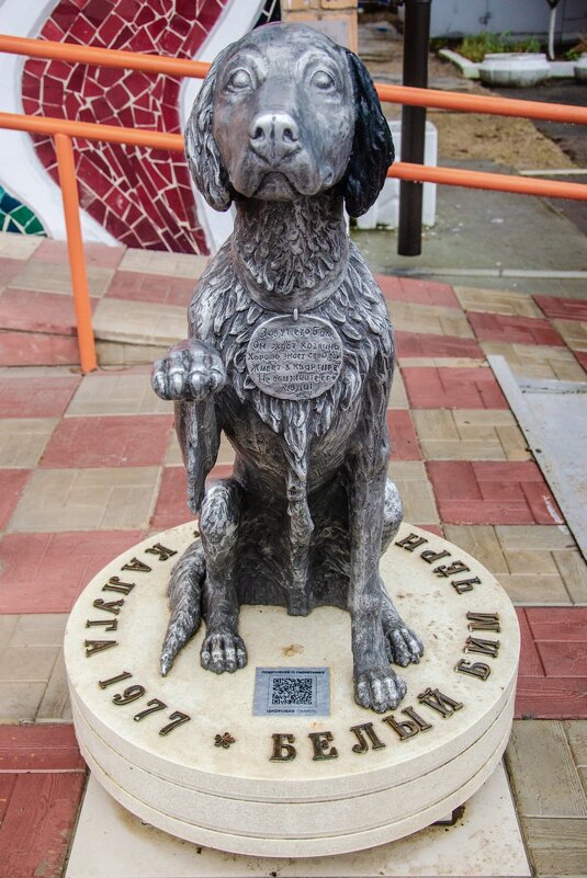 ___ - Галина Ложечникова