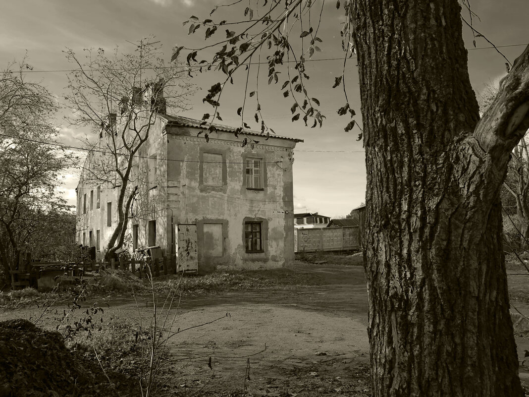 В старом городе - Наталья 