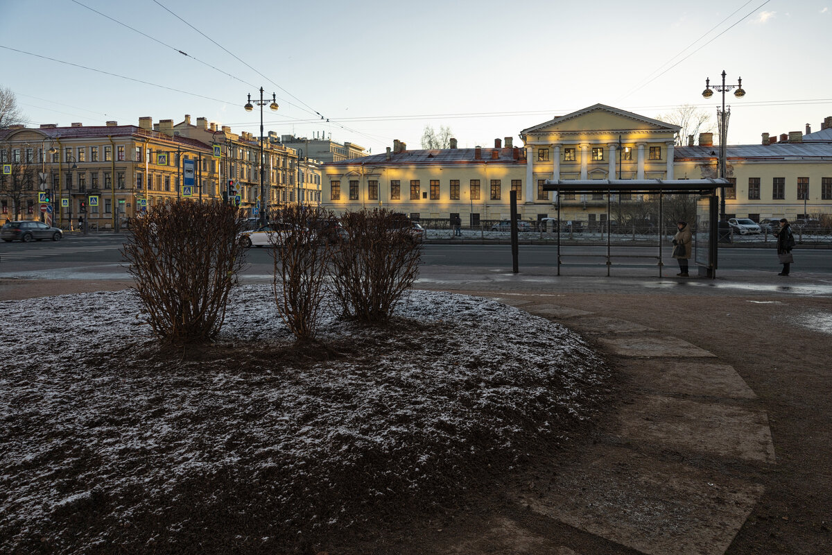 * - Светлана Воробьева