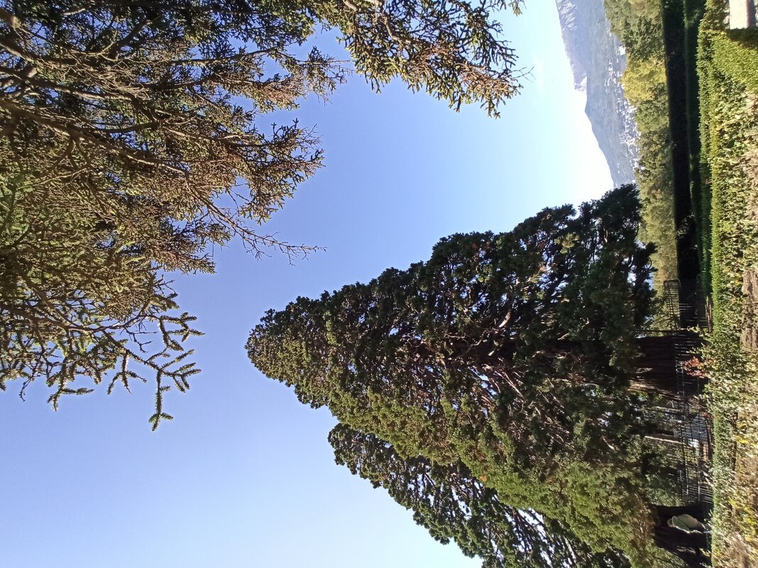 Массандровский парк. Крым. - Галина Массандровский парк. Крым. - Галина