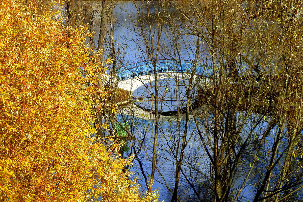 МОСТИК В ОСЕНЬКУ - Юрий Вовк