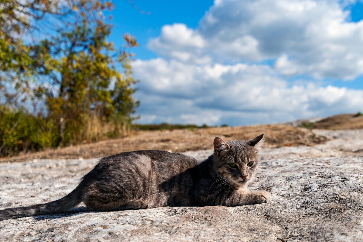 хранительница пещерного города Эски-Кермен - Виталий Емельянов хранительница пещерного города Эски-Кермен - Виталий Емельянов