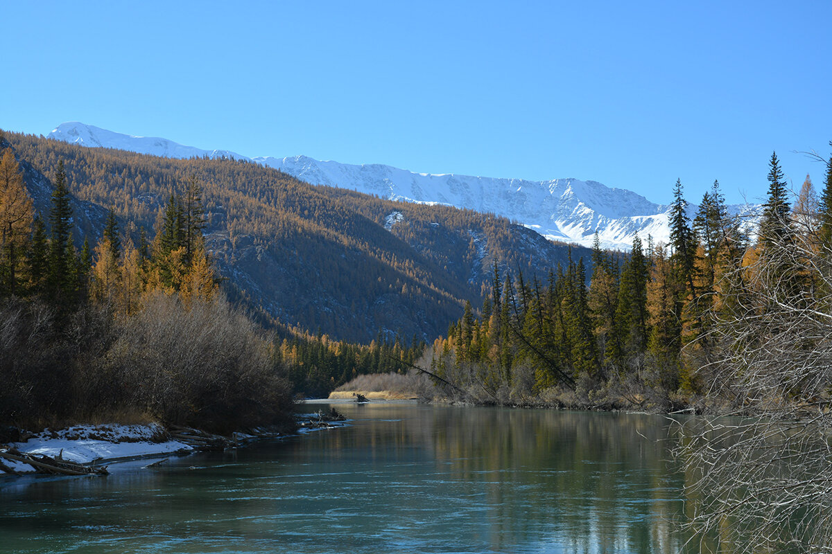 Чуя - Валерий Медведев Чуя - Валерий Медведев
