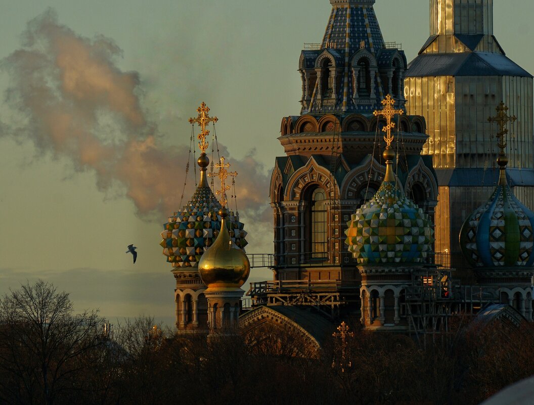 Спас на Крови - Виктория Поликарпова Спас на Крови - Виктория Поликарпова