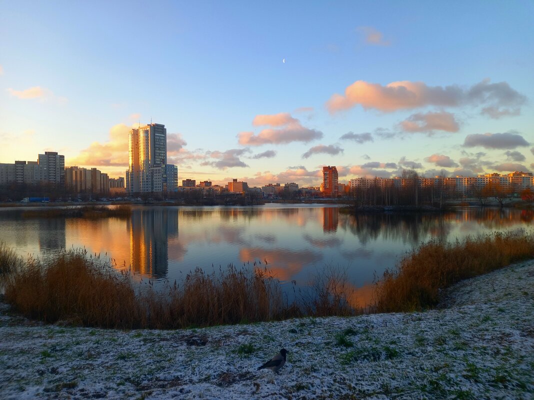 Рассвет - Сапсан 