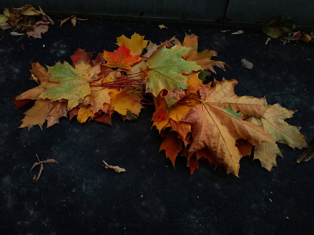 Воспоминание - Андрей Лукьянов Воспоминание - Андрей Лукьянов