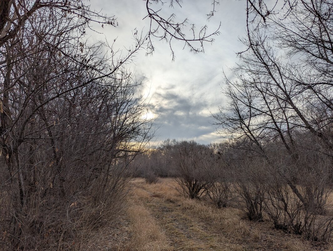 Ноябрь - Андрей Хлопонин Ноябрь - Андрей Хлопонин