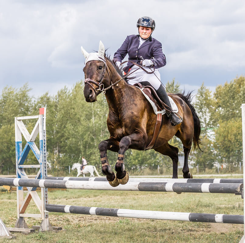 Конкур - SanSan 