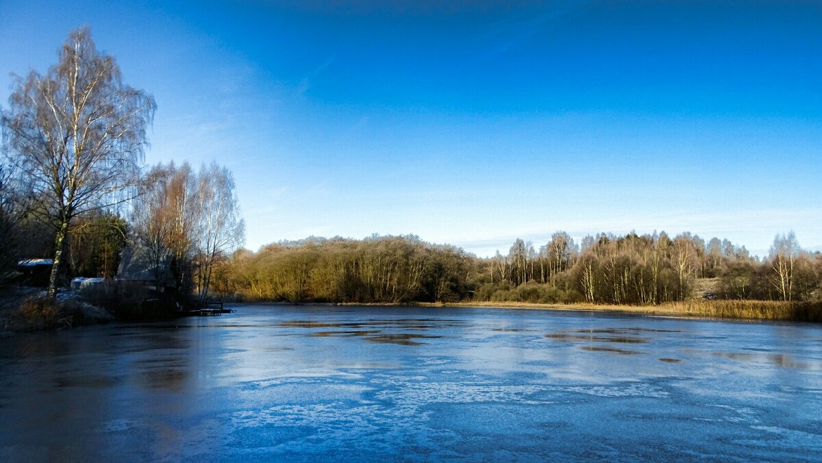 Осень в конце ноября. - Милешкин Владимир Алексеевич Осень в конце ноября. - Милешкин Владимир Алексеевич
