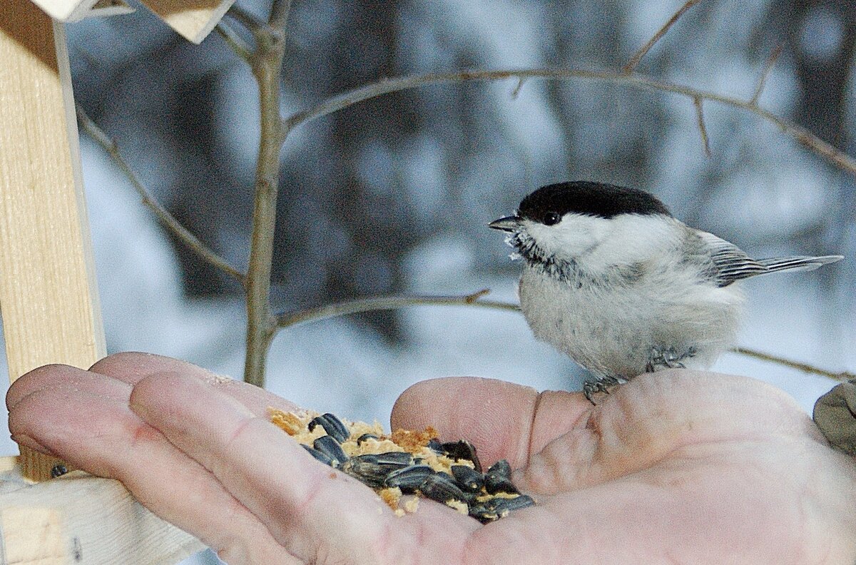 Общение - Галина Нестратова