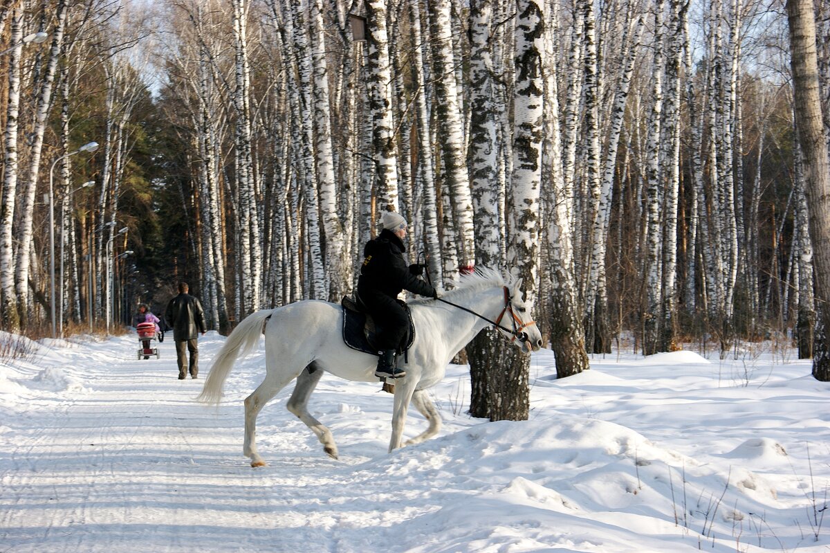 Прогулка - Галина Нестратова Прогулка - Галина Нестратова