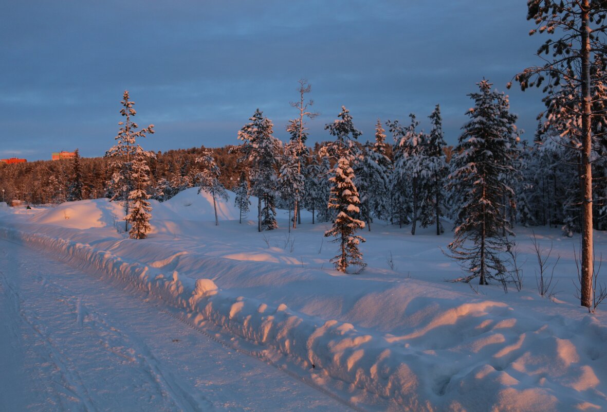 Короткие деньки - Ольга Короткие деньки - Ольга